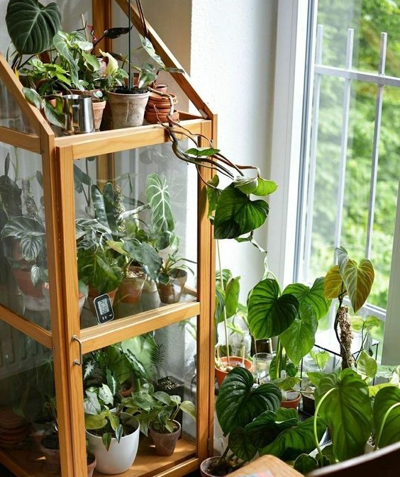 como-cer-un-invernadero-pequeno-en-casa como decorar la casa en primavera