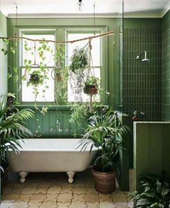 plantas para el ba&ntilde;o